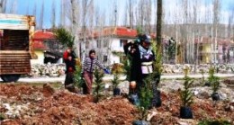 Çubuk’ta Ağaçlandırma Akkuzulu’dan Başladı