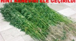 Hint Keneviri Ele Geçirildi