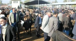 Çubuk’ta Kurban Bayramı Tatlı Telaşı Başladı