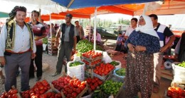 Domates Şenlik Ağası