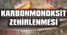 Soba Zehirlenmesi: 2 Ölü