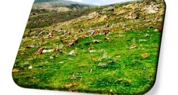 Bir Fatiha Bekler