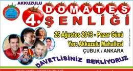 Şenliğimize Davetlisiniz, Bekliyoruz
