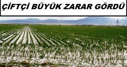 Çiftçi Büyük Zarar Gördü