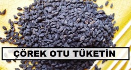Her derde Deva Çörek Otu