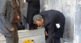 Çiğdemler Çiçek Açtı