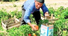 Merhum Hacı Hasan Gölyeri İçin Mevlidli Yemek