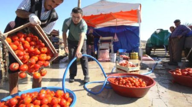 Mahallemizde Kış Hazırlıkları Başladı