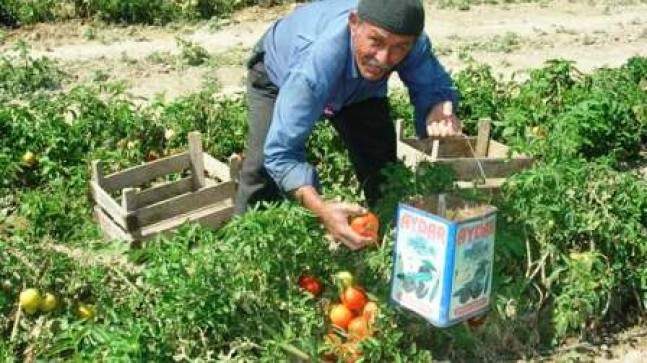 Hasan Gölyeri Kaza da Hayatını Kaybetti