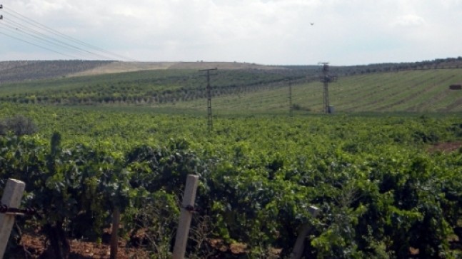 2B İçin Son Tarih 30 Ekim