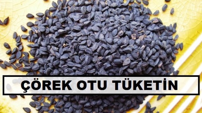 Her derde Deva Çörek Otu