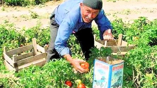 Merhum Hacı Hasan Gölyeri İçin Mevlidli Yemek