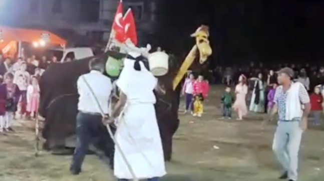 Çubuk Türkmenleri Deve Oyunu