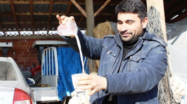 Muhtar Sütçülere Kesin Çözüm İstiyor