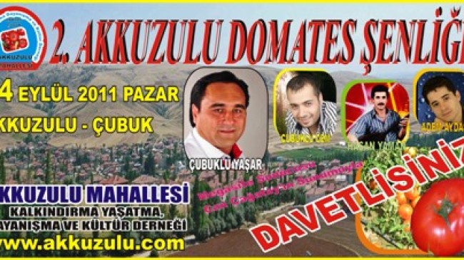 Çubuk Akkuzulu Domates Şenliğine Hazırlanıyor