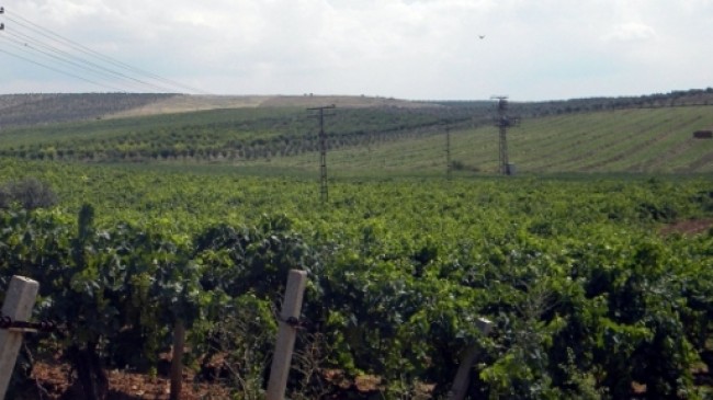 2B İçin Son Tarih 30 Ekim