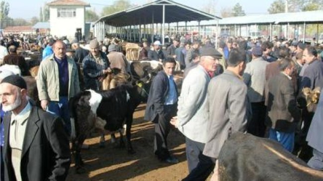 Çubuk’ta Kurban Bayramı Tatlı Telaşı Başladı