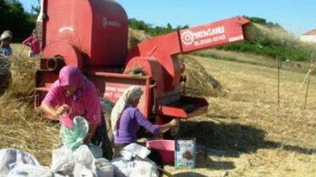 Mahalle İçine Harman Dökmek Yasaktır