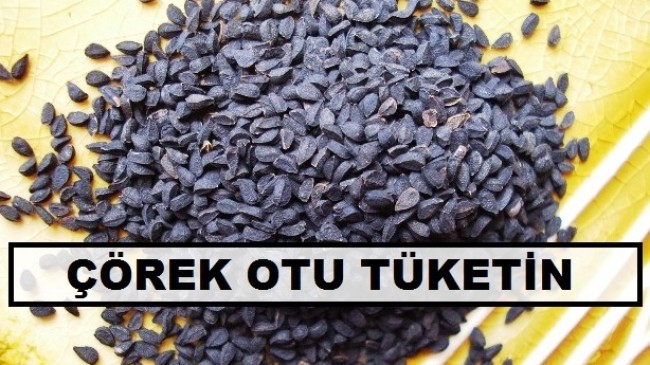 Her derde Deva Çörek Otu
