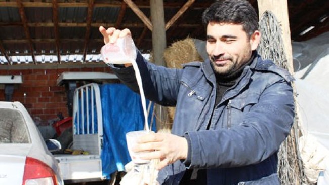 Muhtar Sütçülere Kesin Çözüm İstiyor