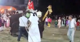 Çubuk Türkmenleri Deve Oyunu