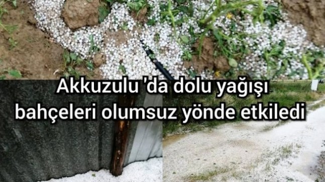 Akkuzulu’da dolu ekili alanları ve emekleri zayii etti