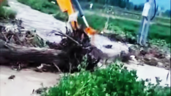 Akkuzulu sel mağduriyetine kesin çözüm istiyor